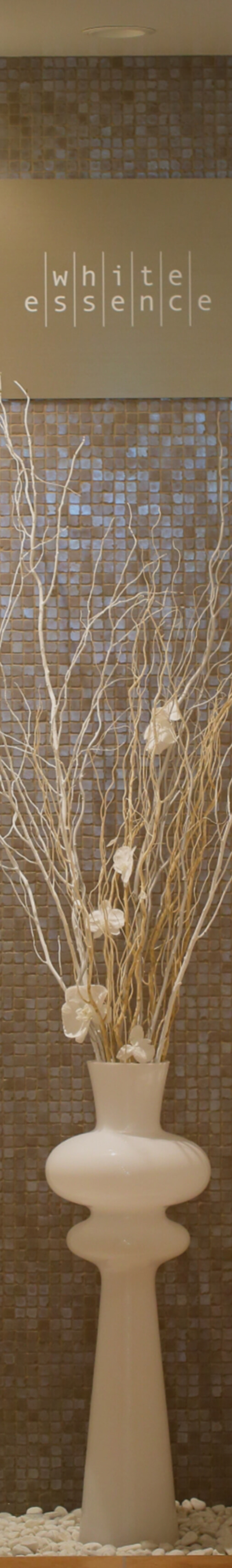 ホワイトニング・クリーニング